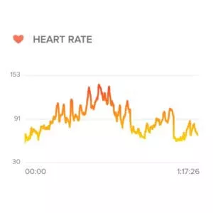 Heart Rate Vinyasa Yoga Class