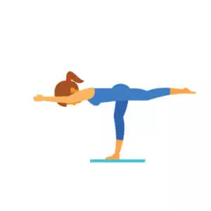 The Postures and The Practice of Yoga