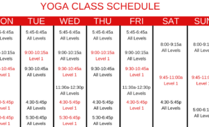 Beginner Yoga Schedule